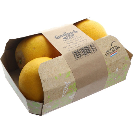 BIO ORANGE GROSBUSCH PREPACK FILET 10X1KG